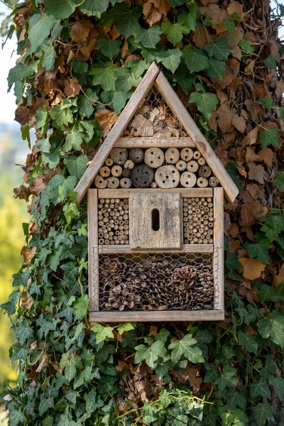 Litet Trähus För Insekter Trädgården — Stockfoto