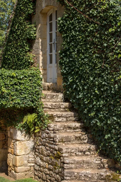 Parede Uma Antiga Casa Pedra Coberto Com Hera — Fotografia de Stock