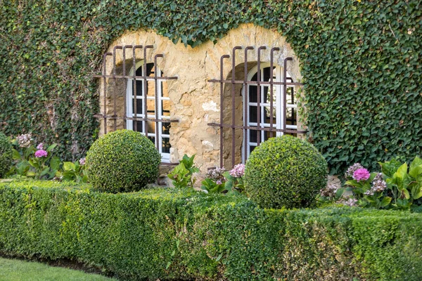 Gepflegte Gartensträucher Grüne Gartenbälle Frankreich — Stockfoto