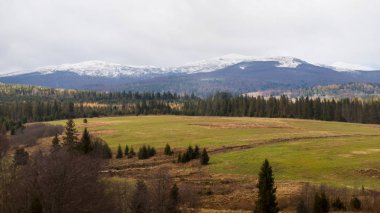     Karpat Dağları - tren görünümünden