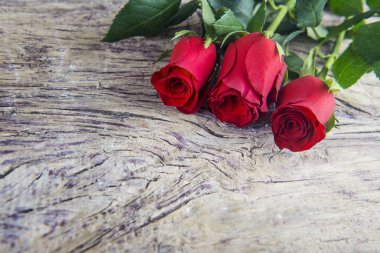 Sevgililer günü kırmızı gül ahşap dokulu adam ile mevcut