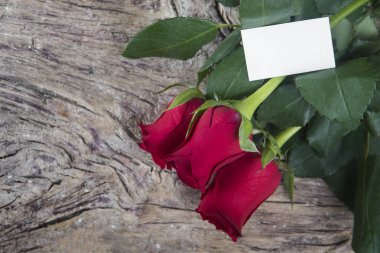 Sevgililer mesaj için boş alan ile kırmızı gül