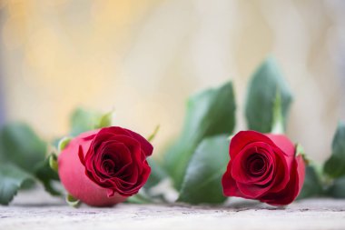 İki kırmızı Gül Sevgililer tatil için