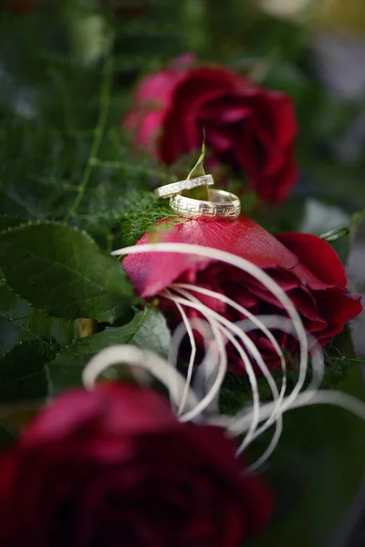 Rosas rojas y anillos de boda — Foto de Stock