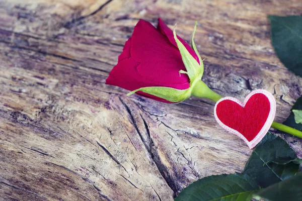Červená růže a srdce — Stock fotografie