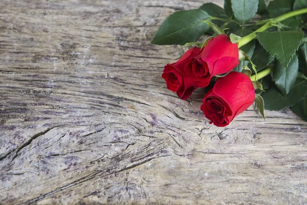 İki kırmızı Gül Sevgililer tatil için