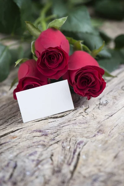 Rosa vermelha com espaço em branco para adorável mensagem fopr Valentine — Fotografia de Stock