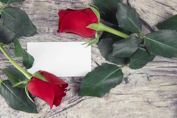 Rosa vermelha com espaço em branco para mensagem adorável — Fotografia de Stock