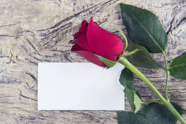 Leerstelle für Liebesbotschaft zum Valentinstag mit roter Rose — Stockfoto