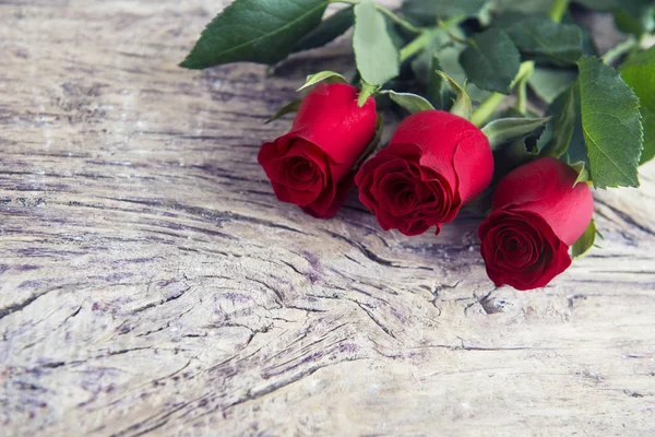 Rosas rojas con espacio en blanco para un mensaje encantador para San Valentín —  Fotos de Stock