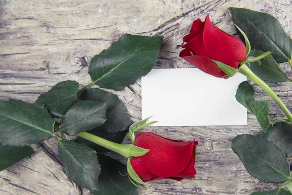 Red rose with blank space for lovely message — Stock Photo, Image