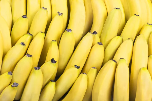 Bananas in rows — Stock Photo, Image