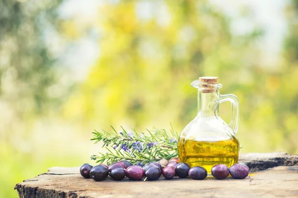 Rosmarin, oliver och olivolja — Stockfoto