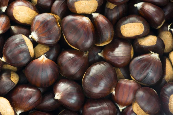 Pile of chestnuts Stock Picture