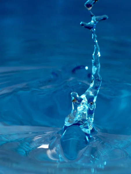 Druppels Water Variaties — Stockfoto