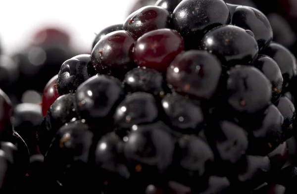 Blackbery Närbild Makro Ser Isolerad Vit Bakgrund — Stockfoto