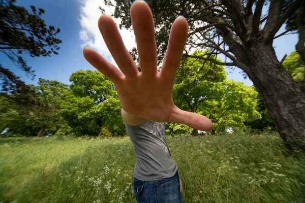 Big hand in the forest