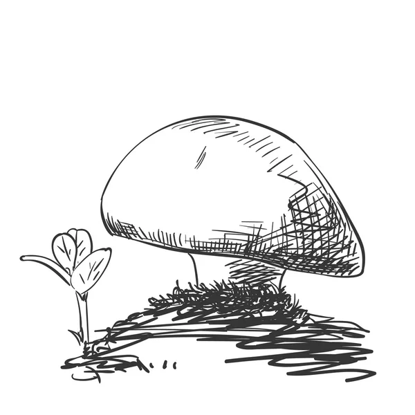 Croquis de l'illustration des champignons — Image vectorielle