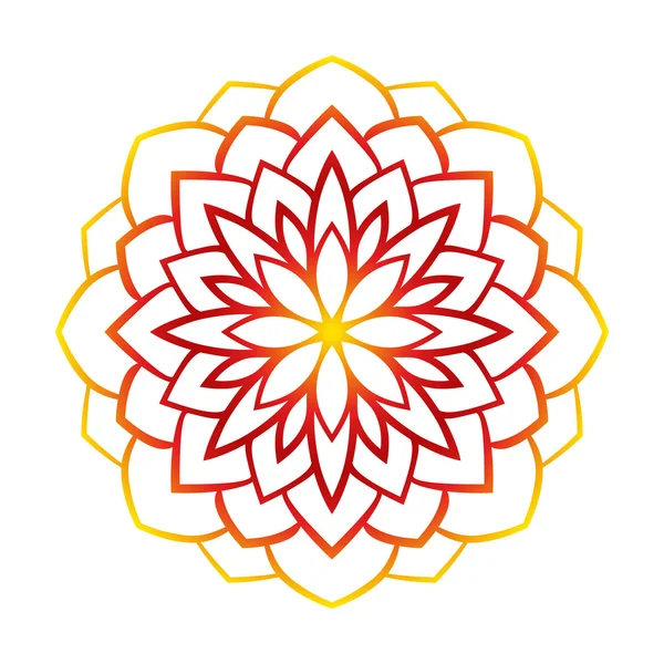 丸い花のパターン — ストックベクタ