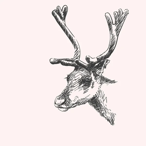 Hand-drawn sketch of reindeer — Stock vektor