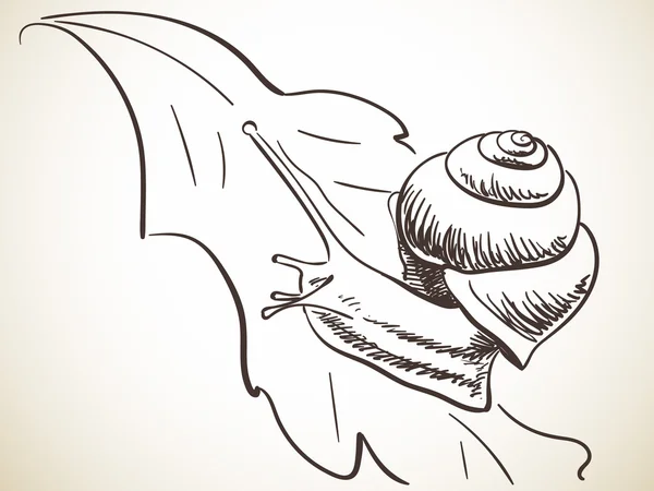 Hand-drawn sketch of snail — Stockový vektor