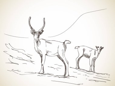 Çift reindeers taslağını 