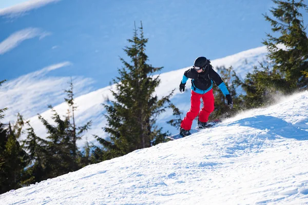 Sunny Day 'de snowboardcu Snowboard sürüyor. Arka plandaki Orman ve Dağ Tepesi. Snowboard ve Kış Sporları — Stok fotoğraf