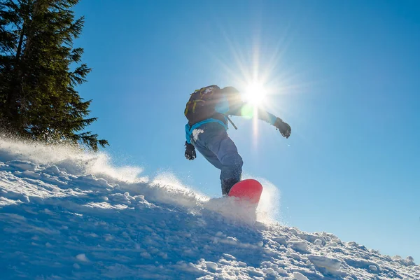 Snowboardos lovaglás Red Snowboard a hegyekben a Sunny Day. Snowboard és Téli Sportok — Stock Fotó