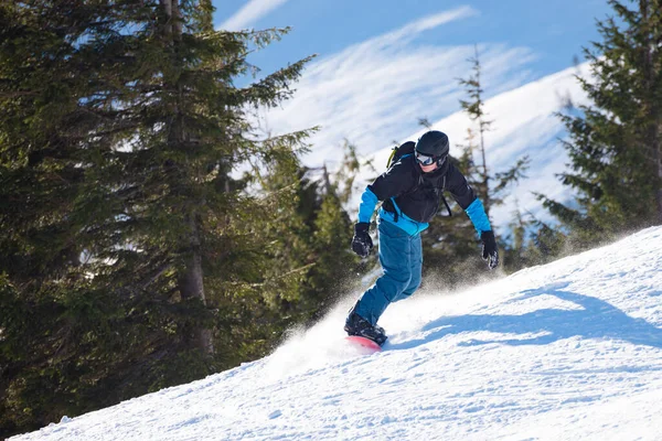 Snowboardista na snowboardu na Sunny Day. Fir Forest a Mountain Hill na pozadí. snowboarding a zimní sporty — Stock fotografie