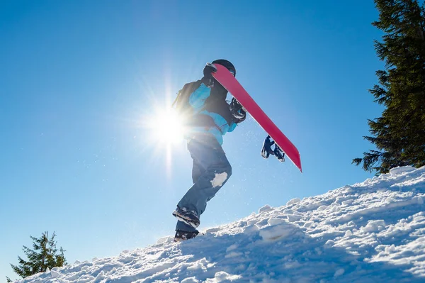 Snowboarder Grimper avec Red Snowboard dans les montagnes à la journée ensoleillée. Snowboard et sports d'hiver — Photo