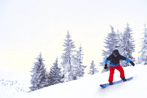 Snowboardos lovaglás snowboard a gyönyörű hegyekben. Snowboard és Winter Sports koncepció — Stock Fotó