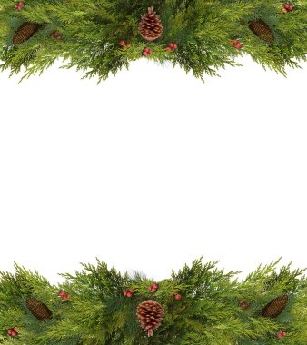 Noel çerçeve veya kopya alanı çam kozalakları ve şubeler