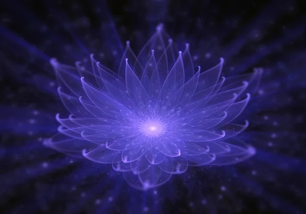수련, 빛의 광선으로 빛나는 블루 로터스 로열티 프리 스톡 이미지