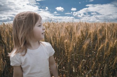 Buğday tarlasında güneşli bir yaz içinde iyi bir küçük kızdır.