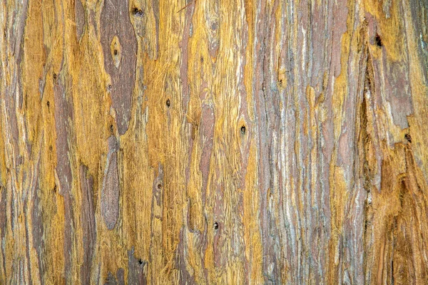 Redwood cork - ahşap arka plan