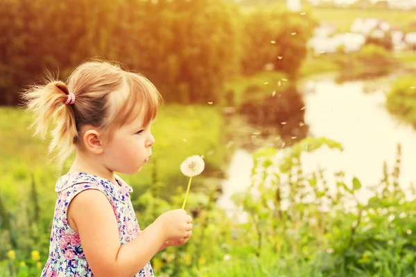 hermosa pequeña chica sopla el diente de León