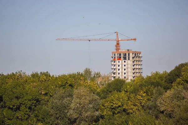 Gru da costruzione in alberi verdi — Foto Stock