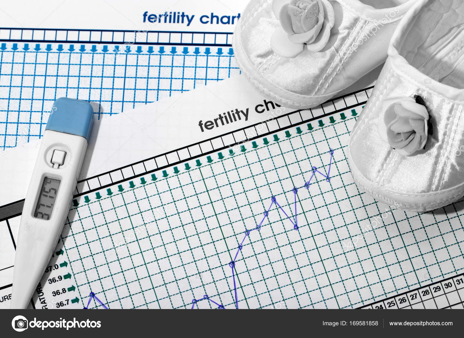 Pregnancy Fertility Chart