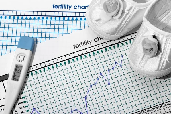 Schwangerschaftsplanung. das Fruchtbarkeitsdiagramm. Stockbild