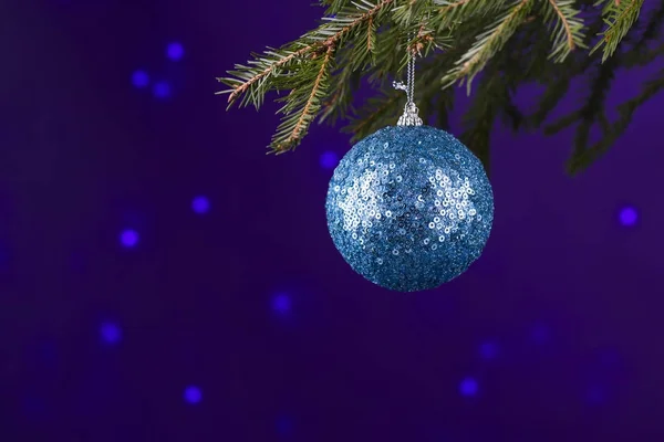 Ornements de Noël ou de Noël en argent bleu suspendus à une branche de sapin de Noël ou de pin dans un thème gelé . — Photo