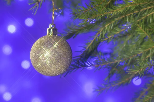Ornements de Noël ou de Noël en argent bleu suspendus à une branche de sapin de Noël ou de pin dans un thème gelé . — Photo