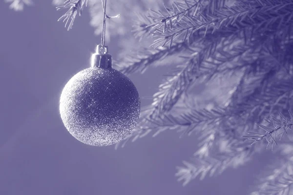 Ornements de Noël ou de Noël en argent bleu suspendus à une branche de sapin de Noël ou de pin dans un thème gelé . — Photo