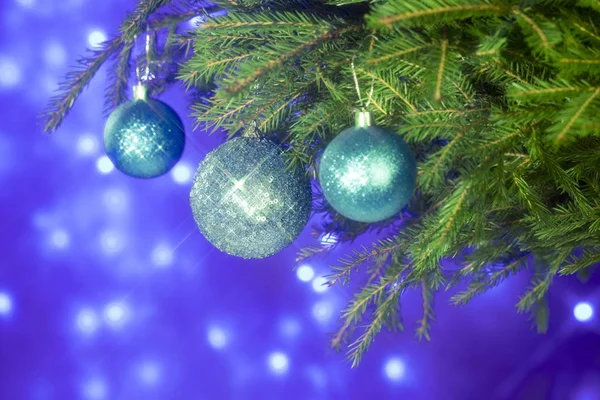 Spar takken en kerstversiering op een donker blauwe achtergrond. Kerstmis achtergrond. Selectieve aandacht. — Stockfoto