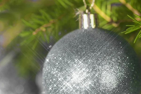 Branche d'épinette dans le gel et boules de Noël — Photo