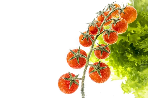 Rote Kirschtomaten auf Zweig und Salatblätter auf weißem Hintergrund — Stockfoto