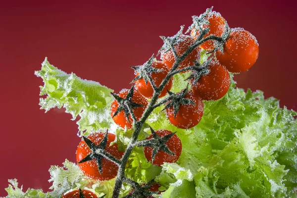 Tomates cereja vermelhos no ramo e folhas de alface no fundo vermelho — Fotografia de Stock