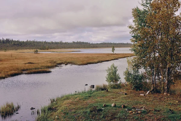 Hösten norr om Europa. Det är en vacker ekologi. Vackert landskap med älv och skog. — Stockfoto