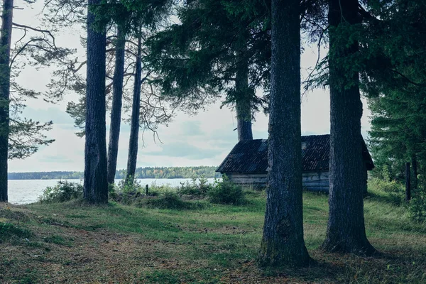 Onega sjön. Norra Europa. Skönheten i naturlandskapet. — Stockfoto