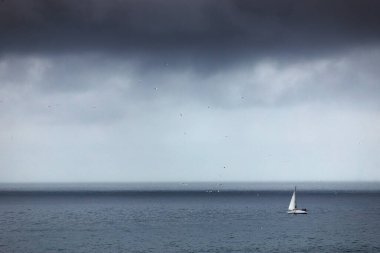 Deniz Burnu. Deniz yüzeyi, uzakta bir yelkenli ve yükselen bir martı..