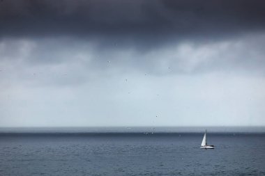 Deniz Burnu. Deniz yüzeyi, uzakta bir yelkenli ve yükselen bir martı..